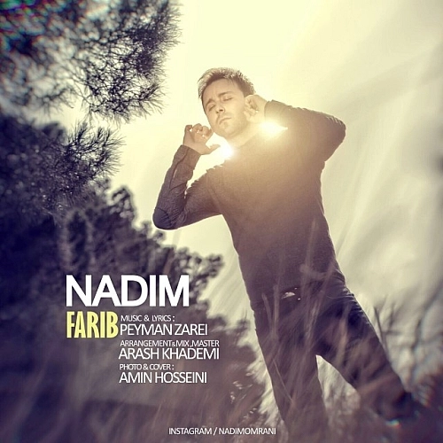 Cover artwork for Farib by Nadim